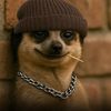hiphop.uchwara