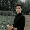 ameeri