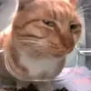 meone.com
