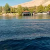 umahmed5568