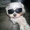 ca1lme.lou1s
