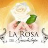 La Rosa de Guadalupe