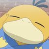 sideduckk