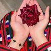 user811020191674