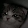 momo_.20_09