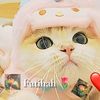 f4tihah_boyver