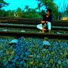 nayem5985
