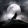 user18129125199773