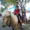 camp.theary
