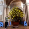 www.tikioxuan
