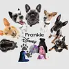 frankie_with.her.tortois