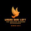 waqasbhailoft