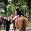 laurka.horses