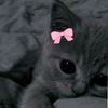 mumtiiii8
