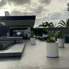 flv620