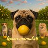 °~lemon_animals~°