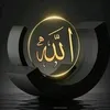 user3232523269161