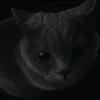adore_ana3