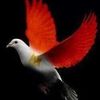 heba.mady