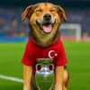 emin_0165