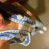 romane_frn_