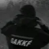 8.17.6