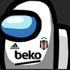 besiktasliiniz