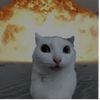 catmimimic