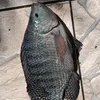 gordinho.magrinho