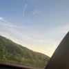 bella_231_._
