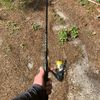 clay_863