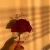 oum.farah59