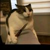 kingslayer9041