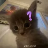 khangdaokutelove