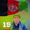 speengul24