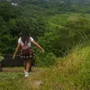 msdecember_0021