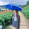 Bảo Nhi Tú Vy