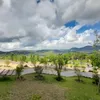 nguyenmap0909