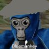 blue_monkeyvr26