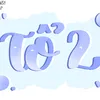 to2_votam