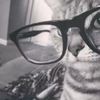 arsifa_577