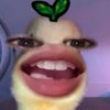 mattchaaaa25