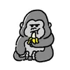 user5248422560077