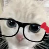 arikeitsu
