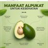 alpukat076