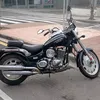 gatito8034