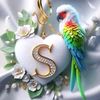 soso.zn6