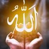 user027286438