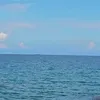swtswtcrln