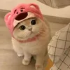 yshwywhs